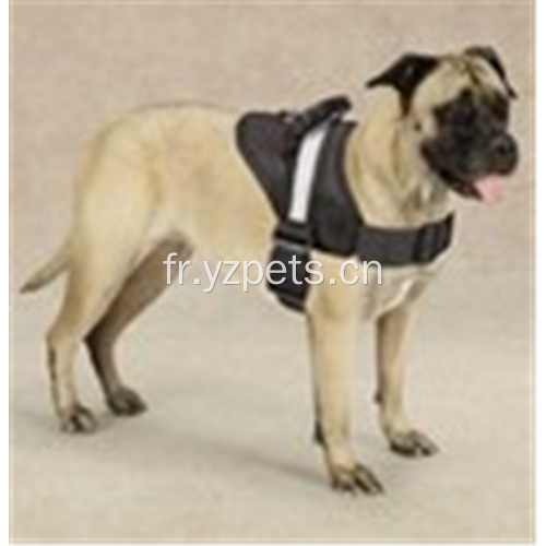 Gilet de harnais pour animaux de compagnie en nylon et polyester Easy Walkig